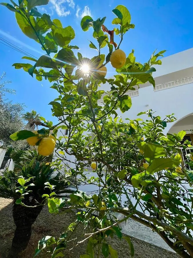 Villa Blanca Cala Ferrera  İspanya